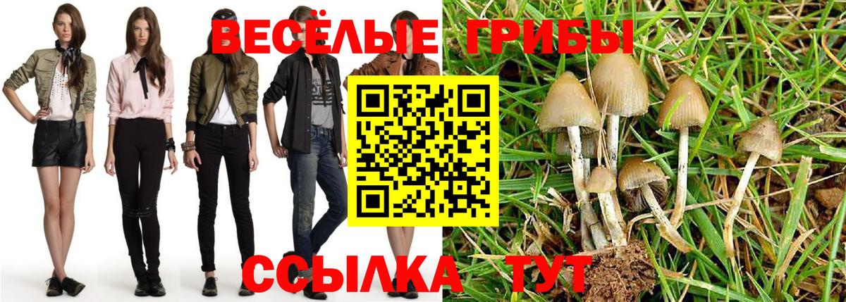 Галлюциногенные грибы Magic Shrooms  Вход с VPN  Калач-на-Дону 